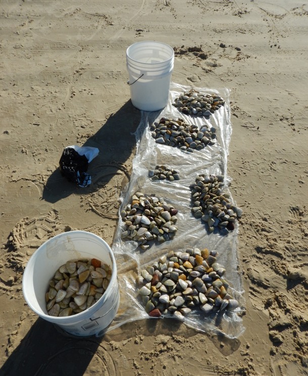 2013 DIMSC Overall winner Michael Bonnici with another nice Coffs red.